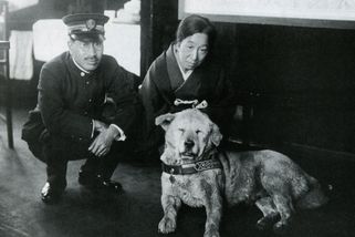 Věrnost až za hrob: Smutný příběh o bezmezné lásce psa ke svému pánovi, který dojal celý svět - Médium.cz